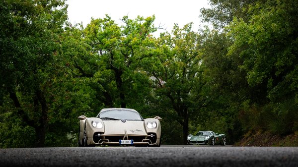 Die besten Nahrungsergänzungen für Labradore mit Hautproblemen: Unverzichtbare Tipps und Empfehlungen für eine gesunde Hautpflege